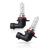 LIGHTWORLD24 2x HIR2 9012 bombillas halógenas 12V 55W | Lámparas de cruce, luz larga, antiniebla, luz diurna | Repuesto para coche con casquillo PX22d
