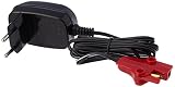 Feber Cargador Válido para baterías de vehículos eléctricos de Juguete | De 6 Voltios Y 1 Amperio, Compatible con coches, motos, quads y trimotos, Famosa (800003112)