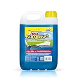 Lavaparabrisas casero para coche: análisis, recetas y mejores alternativas de limpieza