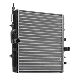 RIDEX Radiador, Refrigeración del Motor 470R0129 Compatible con PEUGEOT 206 Fastback 2A/C
