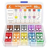JOREST - Juego de 60 fusibles para coche (2 A, 3 A, 5 A, 7,5 A, 10 A, 15 A, 20 A, 25 A, 30 A, 35 A, 40 A) - Platos medianos fusibles para automóviles + 1 extractor